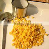 Canned Food Canned Sweet Corn in Tinned