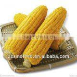 Types of Canned Sweet Corn