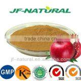 Pomegranate Extract Manufacture in China Certificated With US GMP, KOSHER, HALAL, ISO, HACCP thumbnail-3