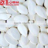 Chinese Raw Type Pumpkin Seeds thumbnail-1