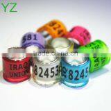 2014 Colorful Poultry Bands 8mm Poultry Plastic Rings thumbnail-1