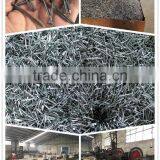 Good Quality Polished Commn Nails Wire Nail Small Package thumbnail-5