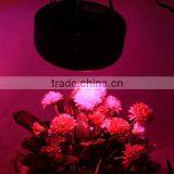 Saving Time Good for You Plants for Garden Vegetative Light 75w UFO LED thumbnail-5