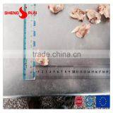 Frozen IQF Surf Clam Meat Gutted thumbnail-4