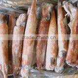 China Frozen Pacific Squid thumbnail-1