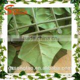 Wholesale Artificial Grass Wall Plastic Leaves Wall thumbnail-4
