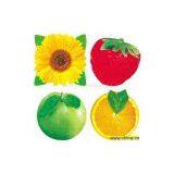 Sell PP Tablemat and Coaster thumbnail-1