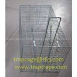Metal Rat Cage Trap Factory With Single Door thumbnail-2