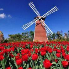 Air Freight - Shipping Direct From Shenzhen (SZX) to Amsterdam (AMS) , Holland. Transfer to European Countries thumbnail-1