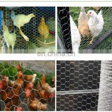 Good Quality 304 Stainless Steel Chicken Wire for Sale thumbnail-4