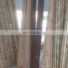 HOT!! BAMBOO RAW MATERIALS/ BAMBOO POLE/ BAMBOO STICK IN VIETNAM thumbnail-1