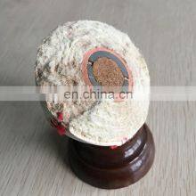 Professional Cowhide Real Leather 95% Wool Filling Cork Core Customized Hard Baseball Ball thumbnail-4