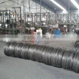 Linyi Lilong Trade Co., Ltd. company overview - view 2 thumbnail
