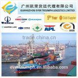Sea Freight Ocean Shipping from Shanghai to Zeebrugge in Belgium