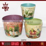 Potted Plants Colorful Window Boxes Shabby Chic Outdoor Planters thumbnail-1