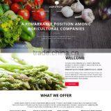 Website Redesigning Services thumbnail-6