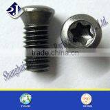T50 Torx Screw