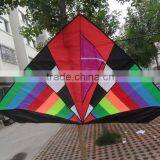 Delta Shape Kite