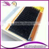 Top Quality Wholesale Price Eyelash Extension