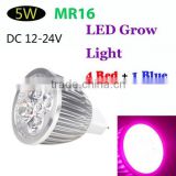 Energy Saving 4 Red 1 Blue LED Plant Grow Light MR16 5W Hydroponic Lamp Bulb for Indoor Flower Plants DC 12-24V Grow Lights