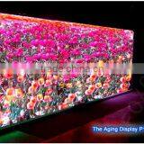 Flexible P1.9 Indoor LED Display Sign Panels Screen