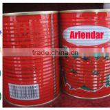 Top Quality Tomato Concentrate thumbnail-1