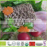 Organic Buckwheat Instant Noodle thumbnail-1