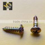 China supplier pan head self tapping screw to color steel board