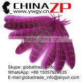 CHINAZP Feather Good Quality Cheap Colored Fuchsia Ringneck Pheasant Tip Feather thumbnail-3