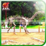 Dinosaur Fossil Exhibition