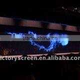 VICTORY 30m*1.524m Transparent Holographic Rear Screen