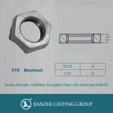 galvanized  malleable iron pipe fitting backnuts