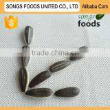 Sunflower Seeds Market Price New Crop thumbnail-1