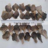 Pleurotus Mushrooms Brine Oyster Mushroom King Oyster Mushroom thumbnail-3