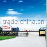 Chinese Sunflower Seeds Supplier thumbnail-5