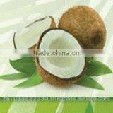 CULINARY VIRGIN COCONUT OIL - Non-RBD, 100% Natural & Zero Cholesterol thumbnail-3