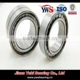 Double Row Full Complement Cylindrical Roller Bearing SL 185009 thumbnail-3