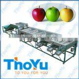 Thoyu Brand Salable Automatic Apple Drying&Cleaning&Grading Machine(SMS:0086-15903675071) thumbnail-1