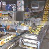 Yellow Peach Kernel Digging Alkali Showing Line thumbnail-1