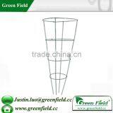 Growing Tomatoes Plant Cages thumbnail-1