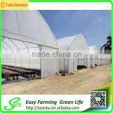 Searea Single Tunnel Greenhouse thumbnail-4