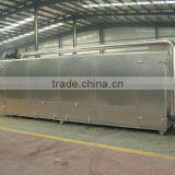 Roasting Oven Snack Food Extruder