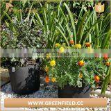 DIY Horizontal Polyester Felt Grow Bag,kids Homeyard Nonwoven Felt Planter Bag thumbnail-4