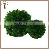 Decorative Table Preserved Boxwood Ball thumbnail-2