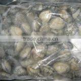 Raw Frozen Short Necked Clam thumbnail-4