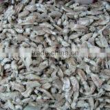 Seafood Iqf Baby Squid thumbnail-1