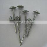 Square Twisted Roofing Nail thumbnail-1