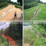 Palm Fiber Mat thumbnail-4