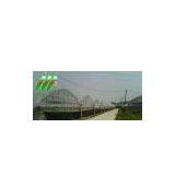 Multi-span Agricultural Greenhouse