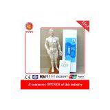 50 cm PVC Acupuncture Model Male of Acupuncture Model for Full Body Male for Acupuncture Point Study thumbnail-1